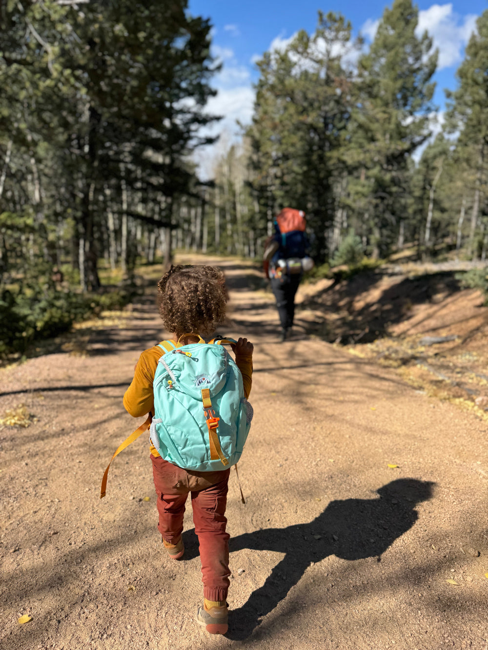 Kid’s (ages 2 to 7) Light Blue Hiking Pack - Water Bladder System Compatible for Young Hikers from KADOU Boutique