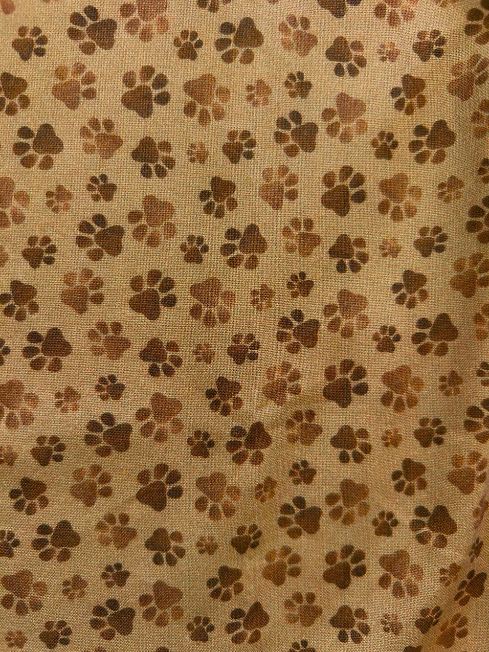 Paw Print Bow Top from KADOU Boutique
