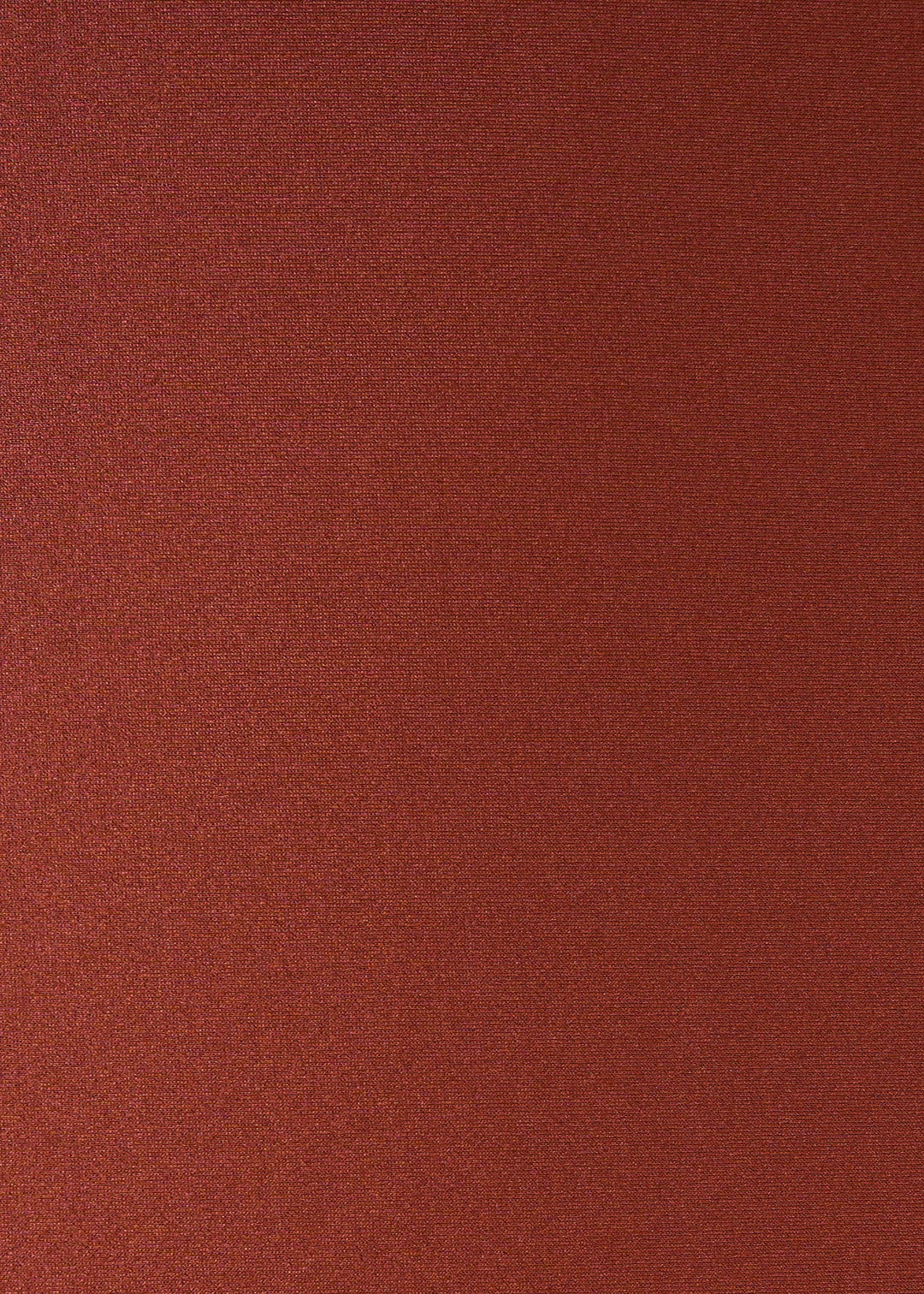 Copper Long Sleeve Top