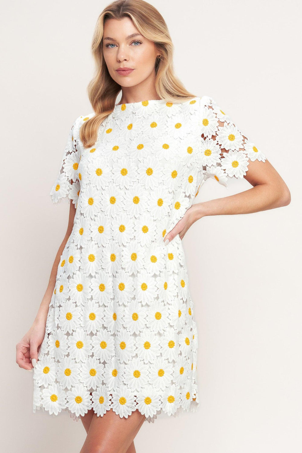 Daisies and Daydreams Woven Lace Mini Dress from KADOU Boutique