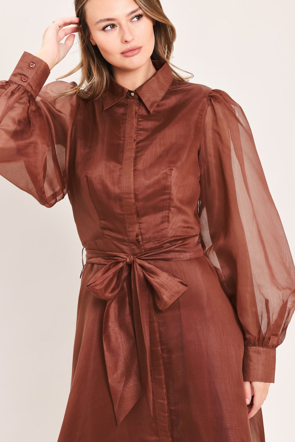 Cedarlight Embrace Woven Organza Maxi Dress from KADOU Boutique