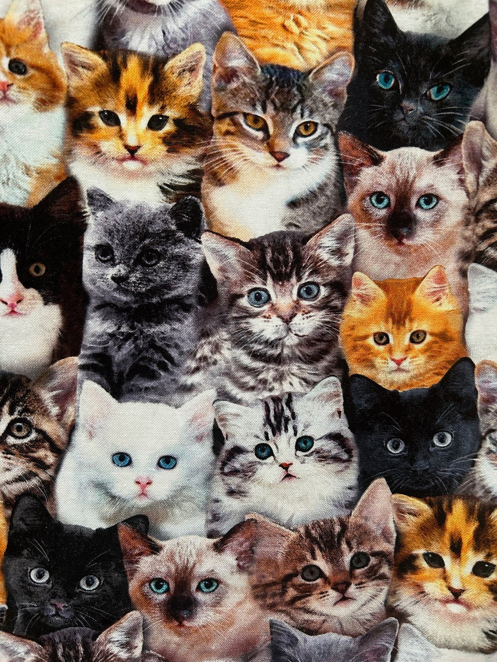 Realistic Cats A-Line Skirt from KADOU Boutique
