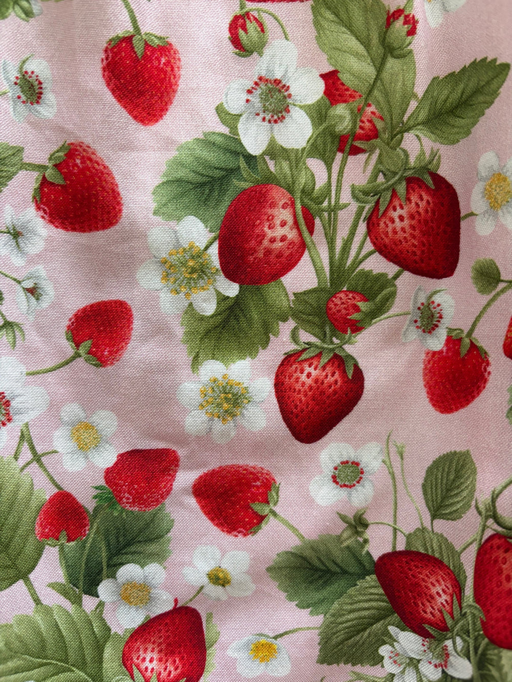 Strawberry Collared Dress - 2X Only from KADOU Boutique