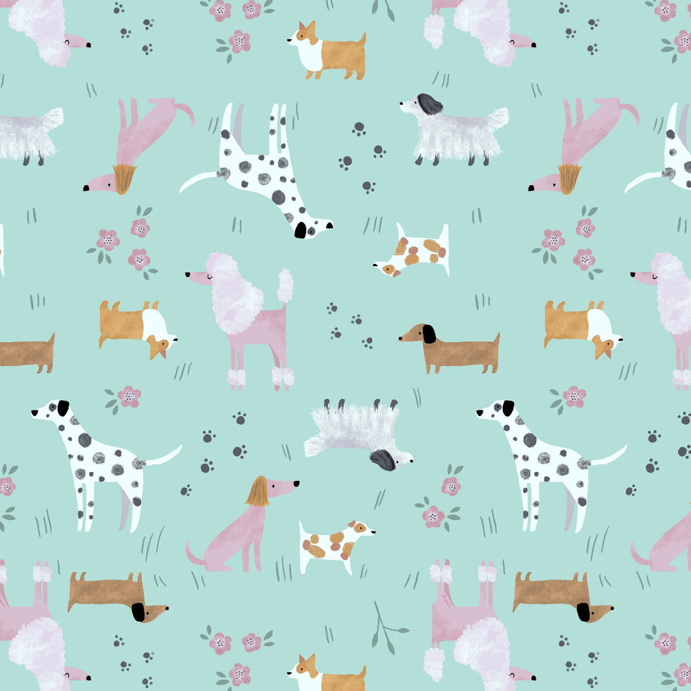 Dogs Collared Dress from KADOU Boutique