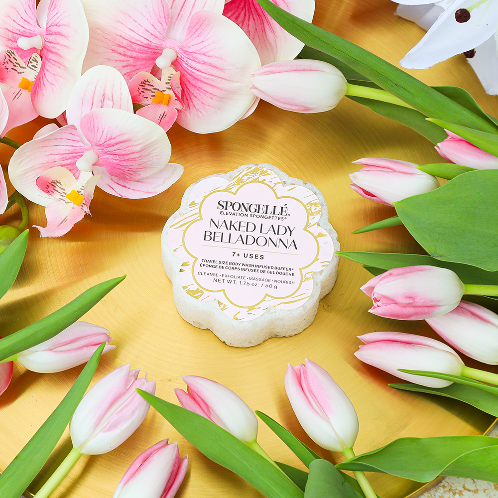 Naked Lady Belladonna | Elevation Spongette from KADOU Boutique