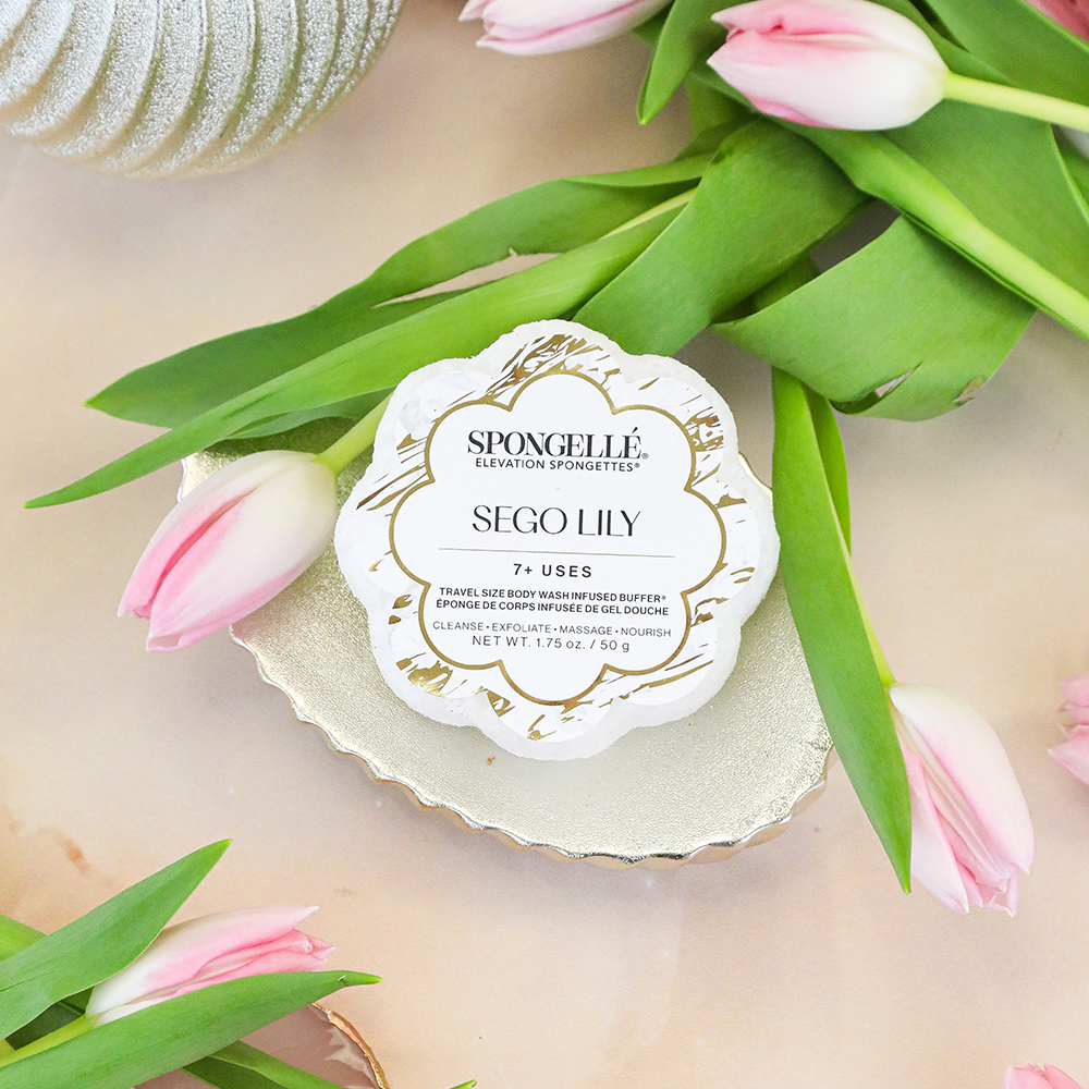 Sego Lily | Elevation Spongette from KADOU Boutique