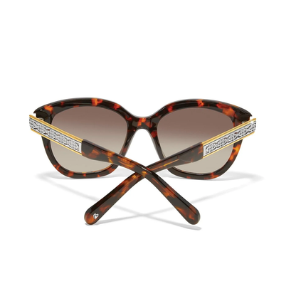 Brighton Intrigue Amber Tortoise Sunglasses A13367