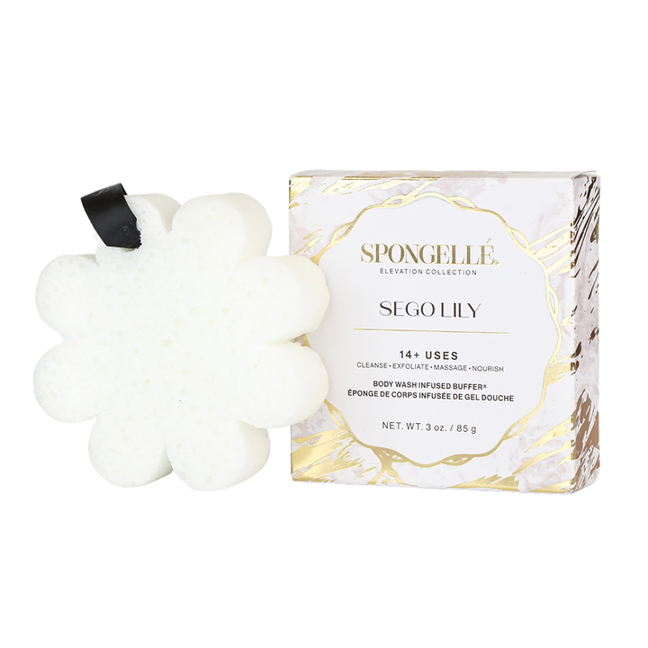 Sego Lily | Elevation Boxed Flower from KADOU Boutique