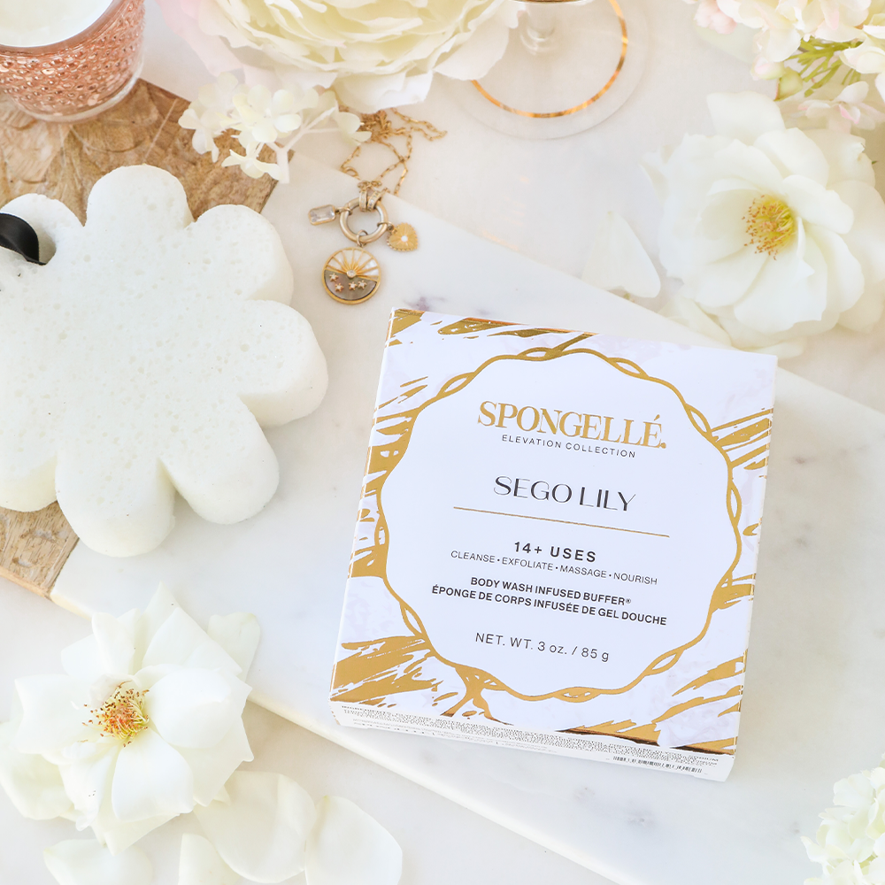 Sego Lily | Elevation Boxed Flower from KADOU Boutique