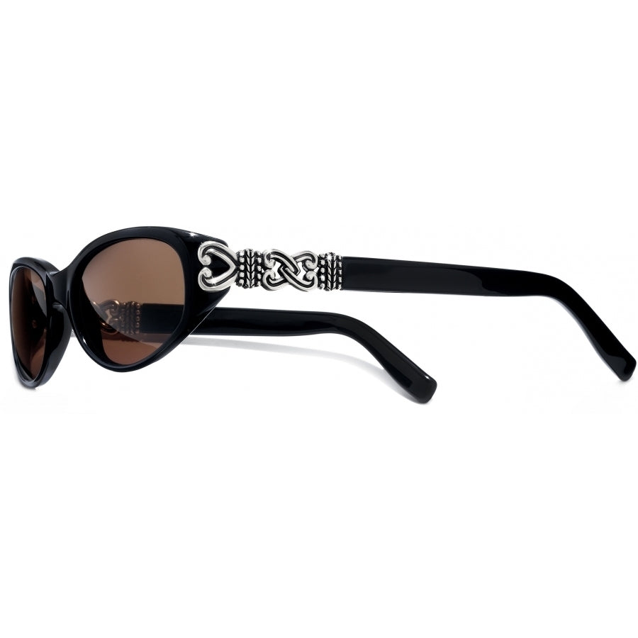 Brighton Sunglasses