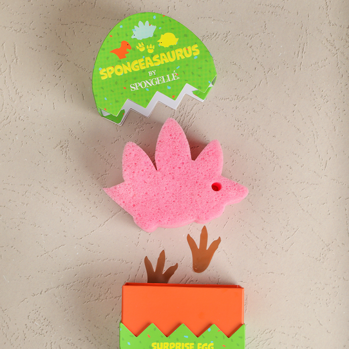 Stegosaurus Dinosaur Buffer from KADOU Boutique
