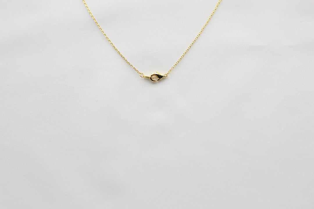 Texas State Map Necklace - Matte Polish