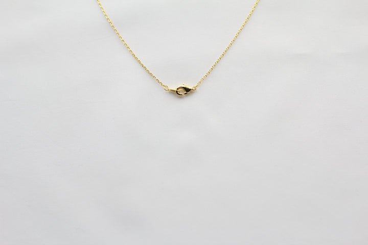 Texas State Map Necklace - Matte Polish