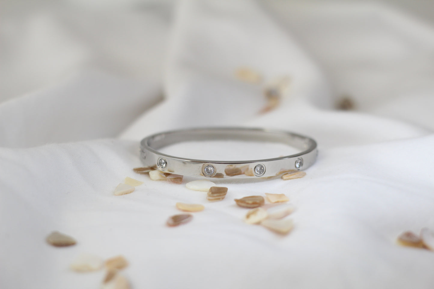 Sparkle Hinged Bangle